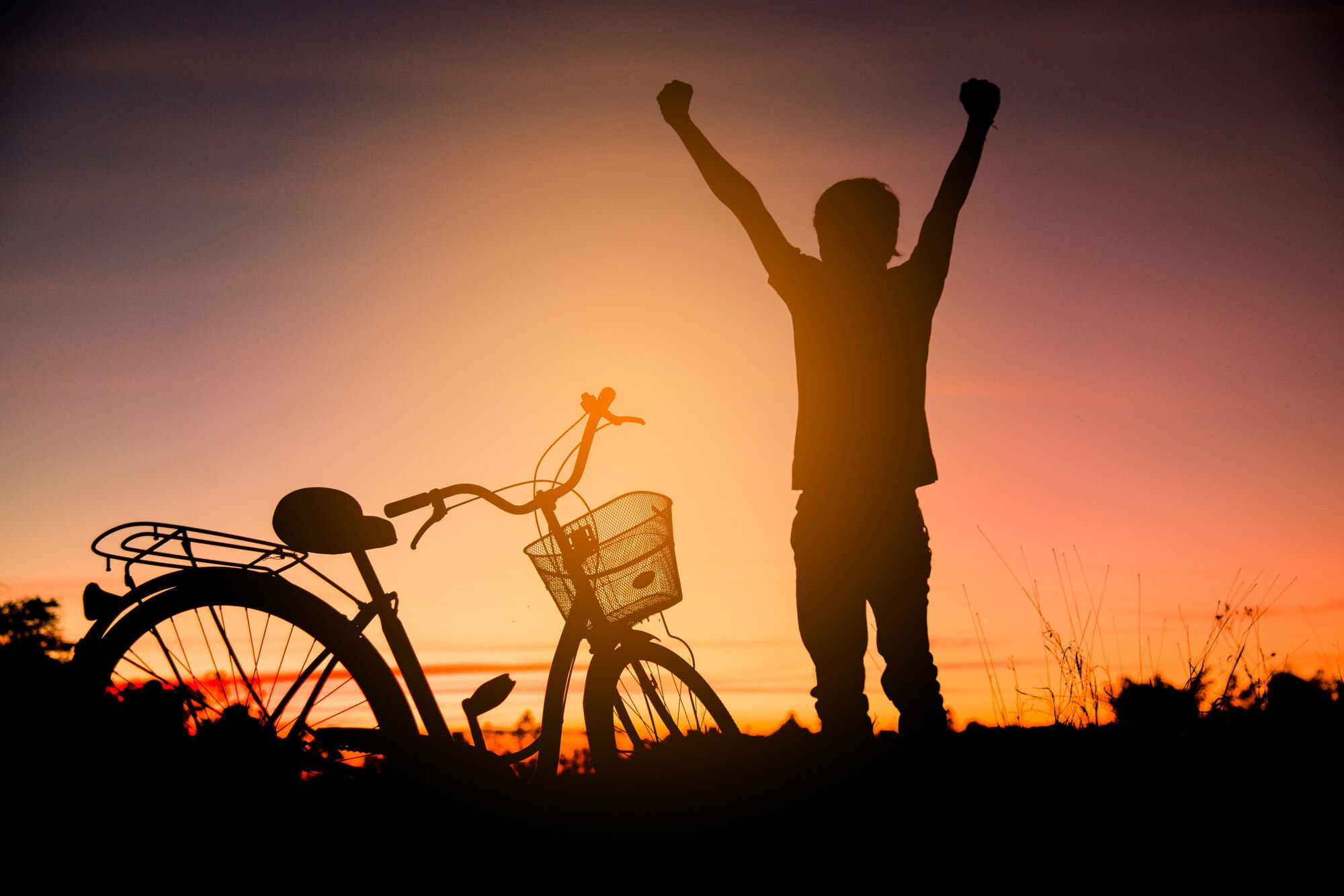 संतुलित आहार की थाली